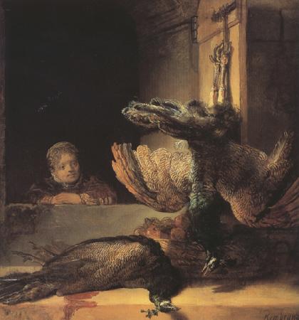 REMBRANDT Harmenszoon van Rijn Still life with two dead Peacocks and a Girl (mk33) China oil painting art
